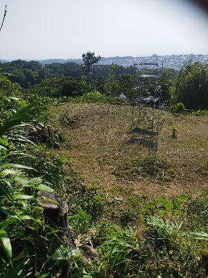 IMG_20230711_155219