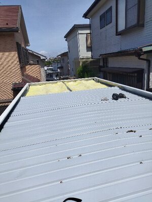 IMG_20230527_130339_コピー